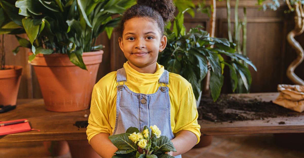 découvrez les bienfaits du jardinage biologique : des conseils pratiques, des techniques durables et des astuces pour cultiver vos propres légumes et fleurs sans produits chimiques. transformez votre jardin en un espace sain et respectueux de l'environnement.