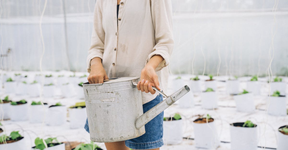 découvrez les bienfaits du jardinage biologique : cultivez des plantes saines et respectueuses de l'environnement. apprenez des techniques simples et efficaces pour créer un jardin naturel, à la fois florissant et durable.