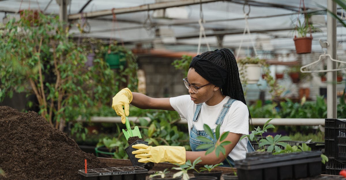 découvrez les principes du jardinage biologique pour cultiver des plantes saines et respectueuses de l'environnement. apprenez des techniques durables pour enrichir votre sol, favoriser la biodiversité et récolter des légumes et fruits savoureux.