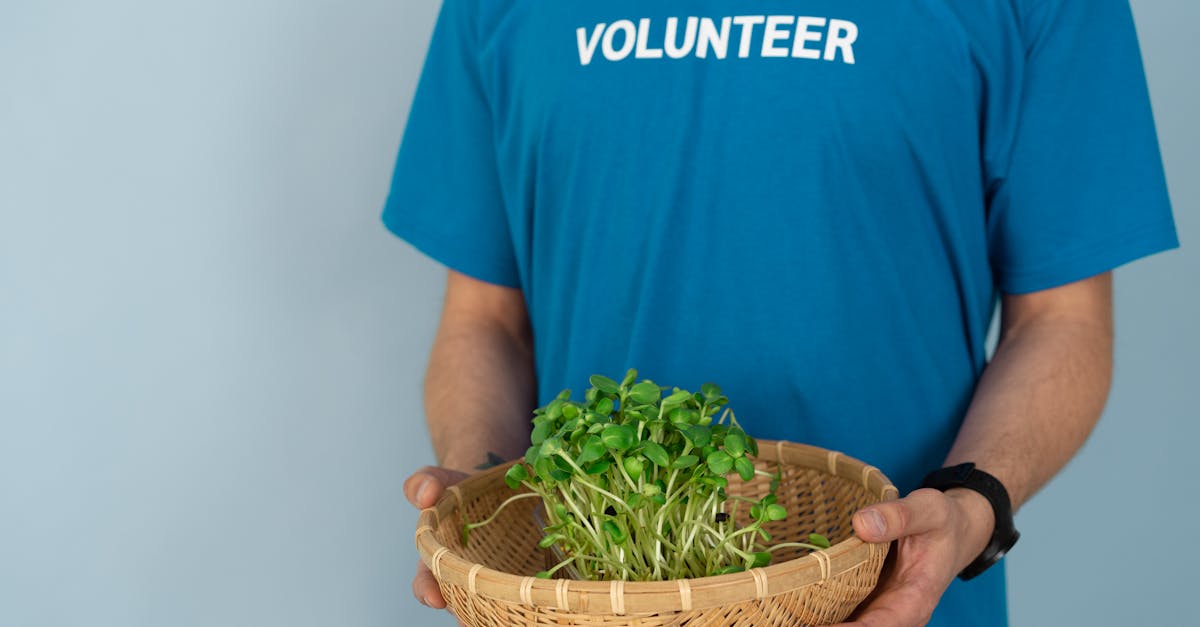 découvrez l'art du jardinage biologique avec nos conseils pratiques et adaptées. apprenez à cultiver vos propres légumes, fruits et plantes sans produits chimiques, tout en respectant l'environnement. transformez votre jardin en un espace éco-responsable et profitable grâce à des techniques durables.