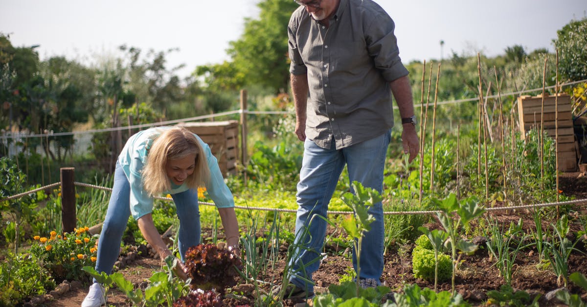 découvrez les bienfaits du jardinage biologique : apprenez à cultiver des plantes sans pesticides, à respecter l'environnement et à produire des fruits et légumes sains. transformez votre jardin en un écosystème durable grâce à nos conseils pratiques et astuces de jardinage.