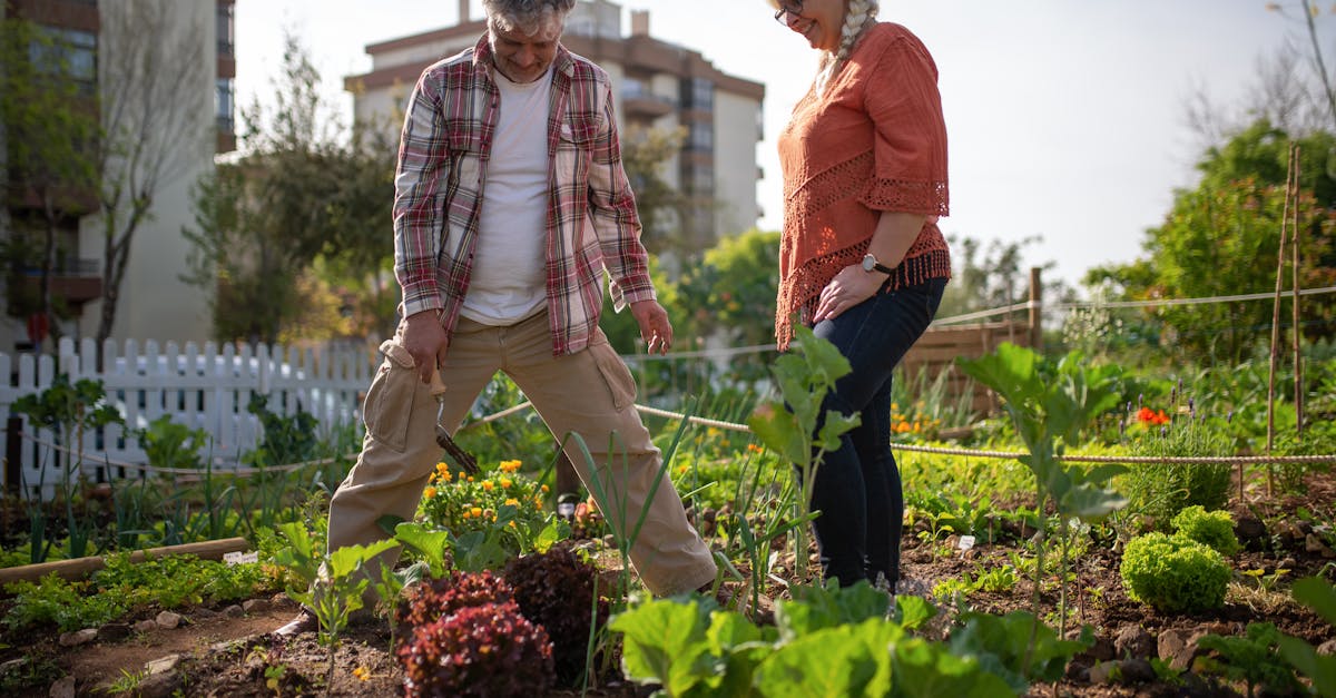 découvrez les secrets du jardinage biologique : conseils, techniques et astuces pour cultiver vos légumes et fleurs de manière naturelle et écoresponsable. transformez votre jardin en un écosystème durable et sain pour vous et la planète.