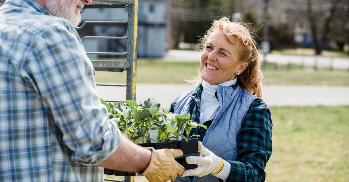 découvrez comment les partenariats en jardinage biologique peuvent transformer votre espace vert. apprenez des techniques durables, partagez des ressources et cultivez des jardins florissants et respectueux de l'environnement avec des experts et passionnés.