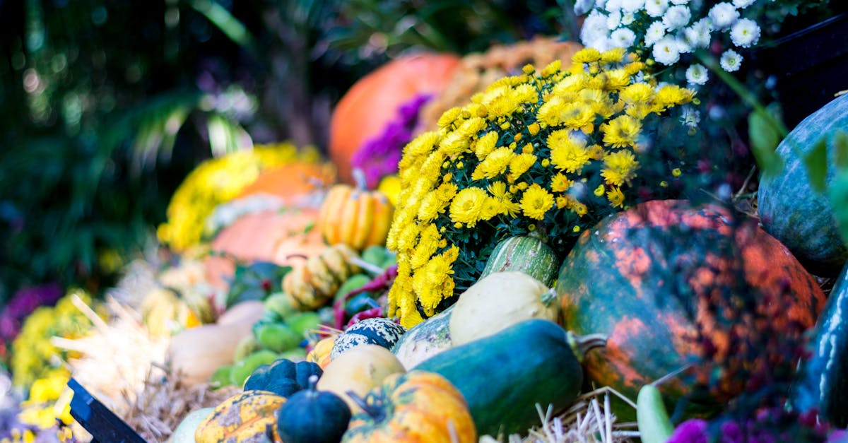 découvrez l'univers des jardins biologiques : des conseils pratiques pour cultiver vos plantes sans pesticides, des astuces pour enrichir votre sol naturellement et des idées d'aménagements durables pour un jardin sain et respectueux de l'environnement.