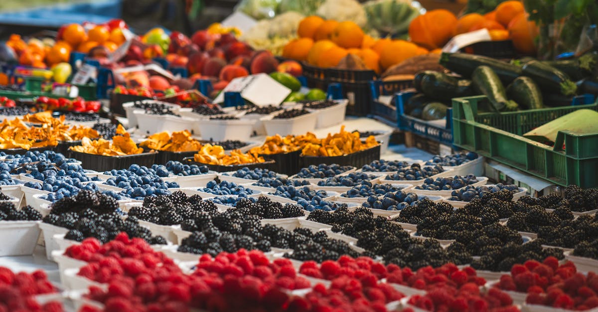 découvrez organic harvest, votre destination privilégiée pour des produits biologiques de haute qualité. profitez de certifié 100% naturel, respectueux de l'environnement et délicieux pour une vie saine et durable.