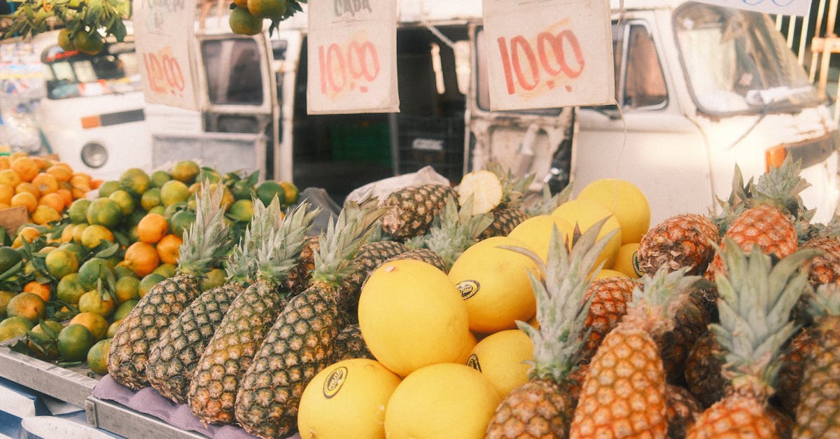 découvrez organic harvest, votre expertise en produits biologiques de haute qualité. explorez notre gamme de fruits et légumes frais, cultivés sans pesticides ni produits chimiques, pour une alimentation saine et responsable. adoptez un mode de vie durable avec nos solutions écologiques et savoureuses.