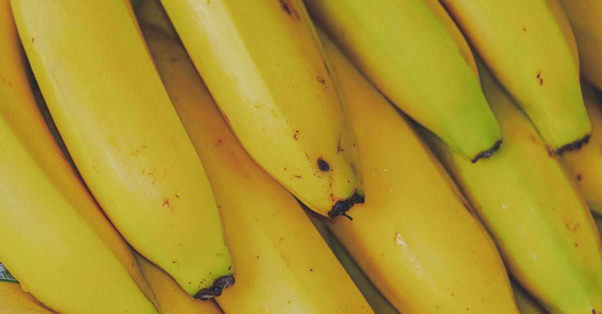 découvrez les nombreux avantages des produits biologiques : une meilleure santé, un goût authentique, et un impact positif sur l'environnement. optez pour une alimentation plus saine et responsable avec des fruits et légumes cultivés sans pesticides ni produits chimiques.