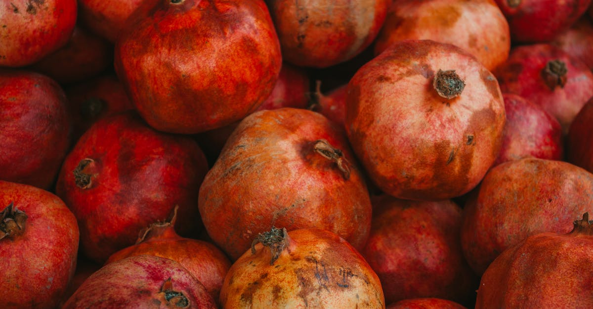découvrez les nombreux avantages des produits bio : santé, saveur, respect de l'environnement et soutien à l'agriculture durable. apprenez pourquoi choisir des produits biologiques est bénéfique pour vous et la planète.