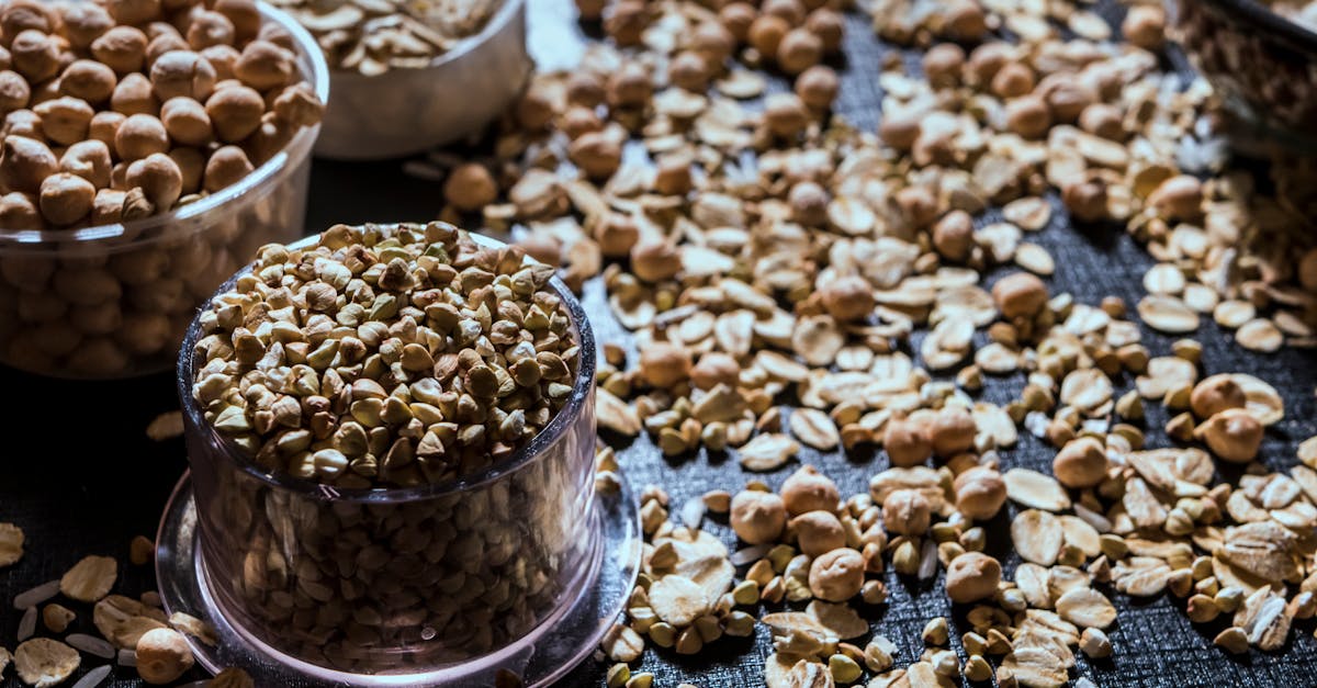 découvrez notre sélection de graines biologiques pour une agriculture durable et respectueuse de l'environnement. cultivez des plantes saines et savoureuses avec nos semences certifiées, idéales pour vos potagers et jardins. optez pour le meilleur de la nature !