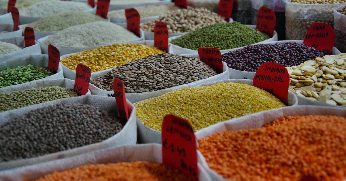 découvrez notre sélection de graines biologiques premium, idéales pour cultiver vos fruits, légumes et fleurs de manière naturelle et respectueuse de l'environnement. profitez d'une agriculture durable et savourez des récoltes saines !