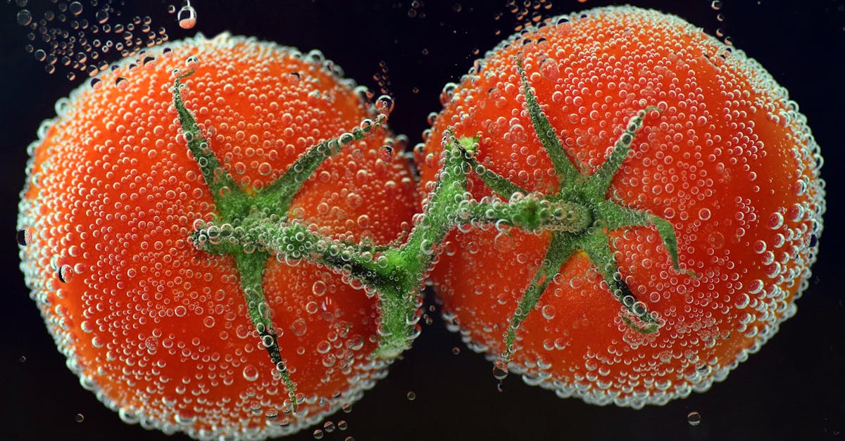 découvrez nos tomates biologiques, cultivées sans pesticides ni produits chimiques, offrant une saveur authentique et riche pour rehausser tous vos plats. optez pour nos tomates fraîches et saines pour une cuisine savoureuse et responsable.