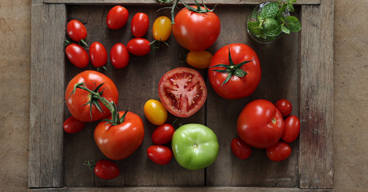 découvrez notre sélection de légumes biologiques frais et savoureux, cultivés sans pesticides ni engrais chimiques. profitez d'une alimentation saine et respectueuse de l'environnement avec nos produits locaux et de saison.