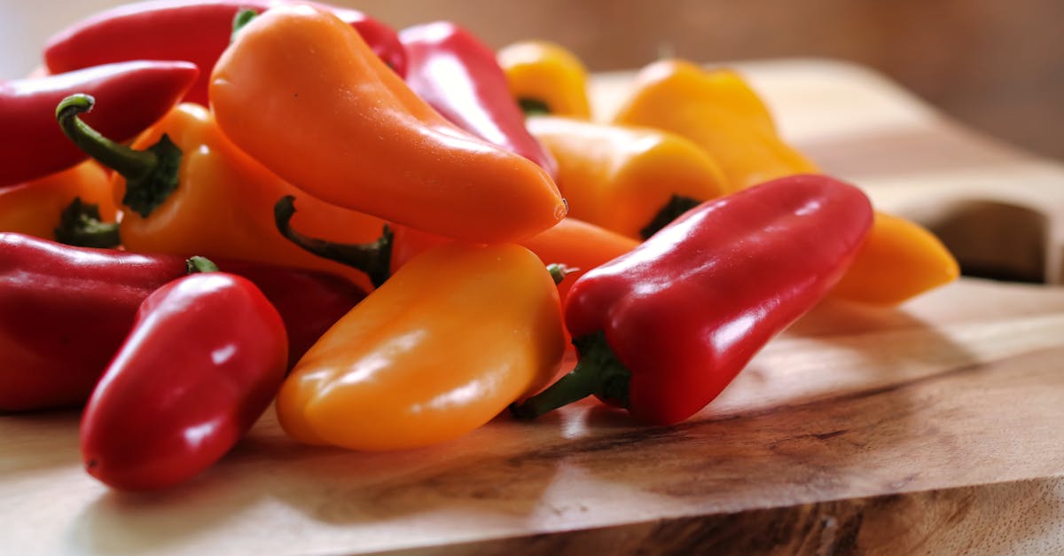 découvrez le meilleur des légumes biologiques, cultivés sans pesticides ni produits chimiques. profitez de saveurs authentiques et de bienfaits nutritionnels pour une alimentation saine et responsable.