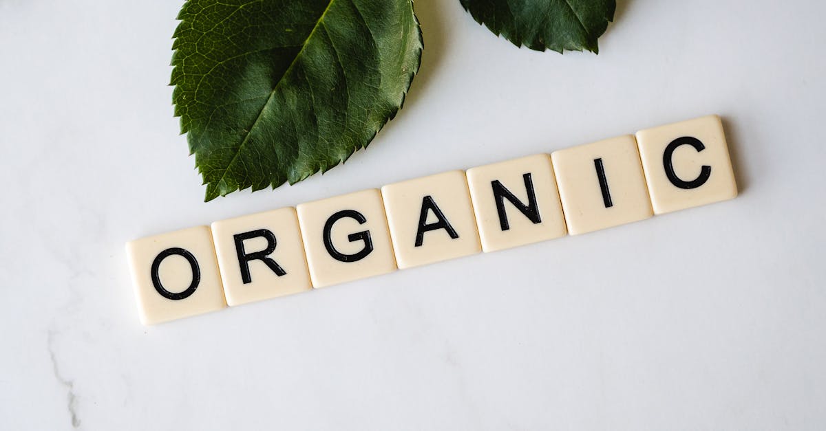 découvrez les bienfaits de l'organic dans votre vie quotidienne. explorez des produits naturels, durables et respectueux de l'environnement pour une santé optimale et un mode de vie écoresponsable. informez-vous sur les pratiques agricoles biologiques et adoptez un style de vie qui préserve notre planète.