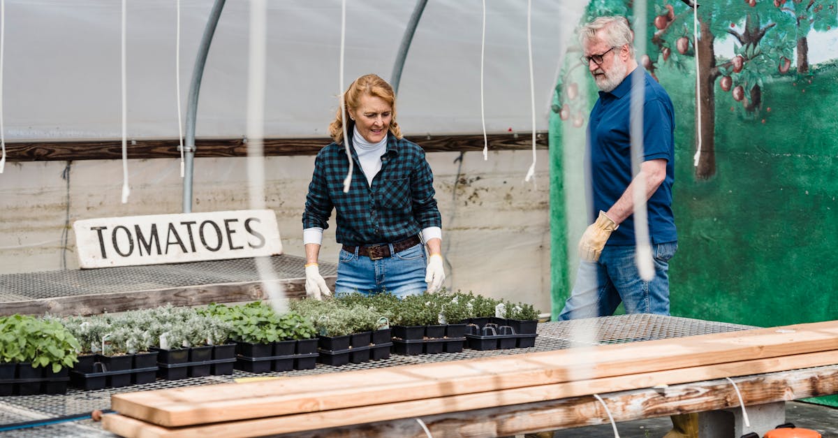 découvrez l'art de la permaculture : une méthode de culture respectueuse de l'environnement qui favorise la biodiversité, l'autosuffisance et l'harmonie avec la nature. apprenez à concevoir des jardins durables et des systèmes agricoles qui soutiennent la planète et nourrissent les communautés.