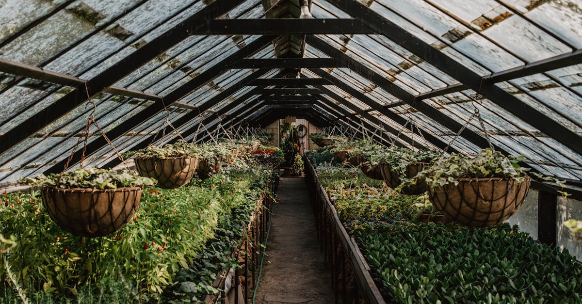 découvrez la permaculture, une méthode durable d'agriculture qui respecte l'environnement et favorise la biodiversité. apprenez à cultiver votre jardin tout en préservant les ressources naturelles et en créant un écosystème équilibré. rejoignez le mouvement vers une agriculture régénératrice et éthique.