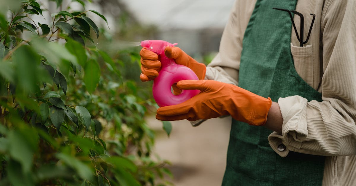 découvrez la permaculture, une méthode durable de jardinage qui harmonise l'agriculture avec la nature. apprenez à cultiver vos plantes de manière écologique tout en préservant la biodiversité et en améliorant la fertilité de votre sol.