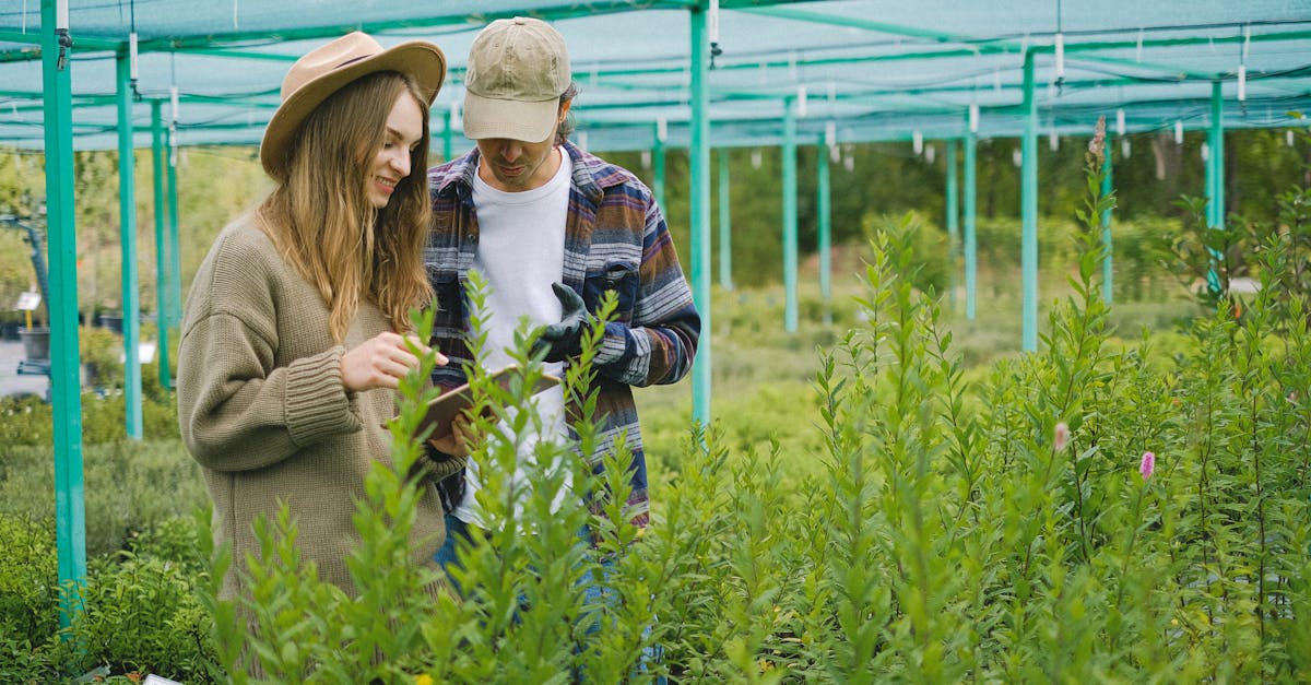 découvrez la permaculture, une méthode de jardinage durable qui imite les écosystèmes naturels. apprenez à cultiver votre jardin de manière éthique et écologique tout en favorisant la biodiversité et en préservant les ressources.