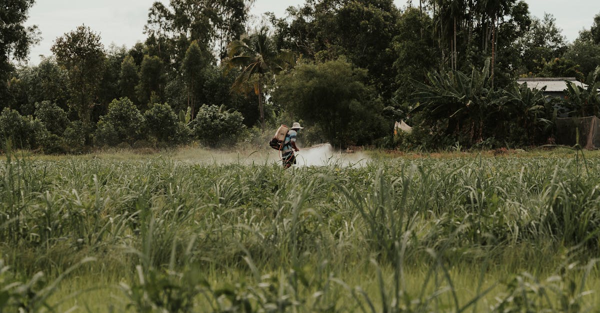 découvrez tout sur les pesticides : leur utilisation, les types disponibles, les impacts sur la santé et l'environnement, ainsi que des alternatives écologiques pour un jardinage durable.