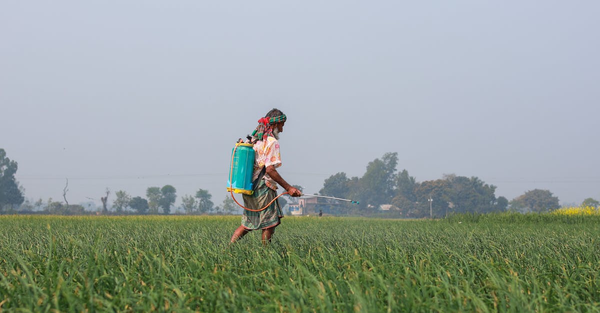 découvrez les différents types de pesticides, leur usage, et leur impact sur l'environnement et la santé. apprenez à choisir des alternatives durables pour une agriculture plus responsable.