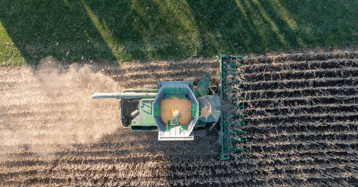 découvrez tout ce qu'il faut savoir sur les pesticides : leur définition, leur utilisation dans l'agriculture, les impacts sur l'environnement et la santé, ainsi que les alternatives écologiques pour une agriculture durable.