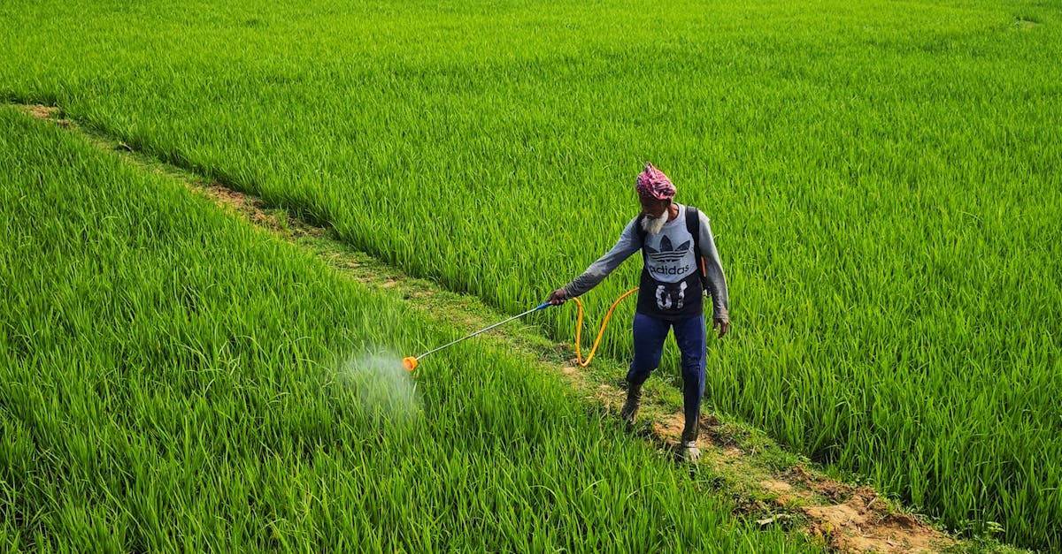 découvrez tout sur les pesticides : leur utilisation, leurs impacts sur l'environnement et la santé, ainsi que les alternatives écologiques. informez-vous pour un choix responsable pour l'agriculture et votre jardin.