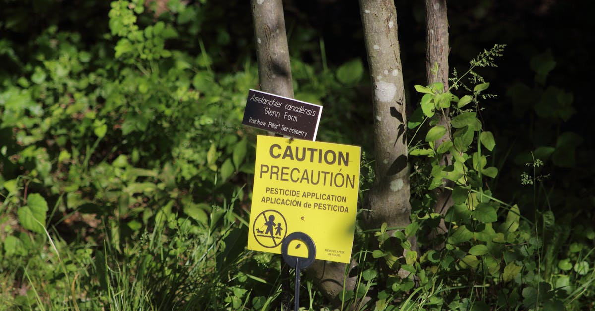 découvrez tout ce qu'il faut savoir sur les pesticides : types, usages, impacts sur l'environnement et alternatives. informez-vous pour une agriculture durable et responsable.