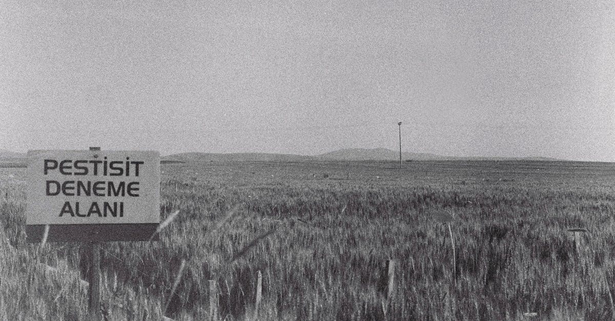 découvrez tout ce qu'il faut savoir sur les pesticides : leurs types, leur utilisation dans l'agriculture, les impacts sur l'environnement et la santé, ainsi que les alternatives durables. informez-vous sur les bonnes pratiques pour une gestion responsable des pesticides.