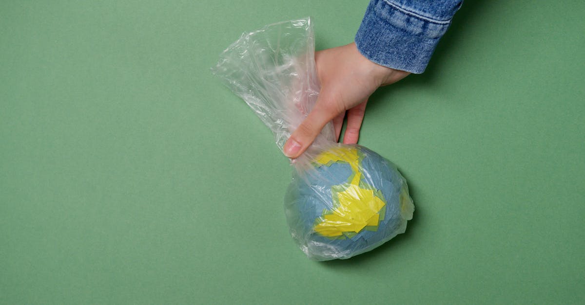 découvrez le processus de dégradation des pesticides, un sujet crucial pour l'environnement et la santé humaine. apprenez comment ces substances chimiques se décomposent dans la nature et leur impact sur les écosystèmes.