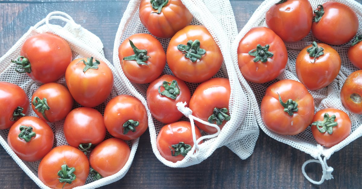 découvrez l'agriculture sans pesticides, une approche durable qui préserve l'environnement et la santé. adoptez des pratiques respectueuses de la nature pour des récoltes saines et responsables.