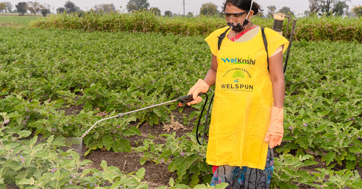 découvrez des stratégies efficaces pour la gestion des pesticides, incluant des techniques durables et des pratiques respectueuses de l'environnement pour protéger votre culture et la santé publique.