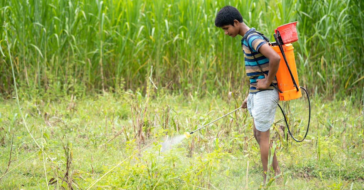 découvrez des stratégies efficaces pour une gestion durable des pesticides, assurant la protection de l'environnement tout en améliorant la productivité agricole. apprenez à minimiser les risques associés à l'utilisation des pesticides tout en préservant la santé des écosystèmes.