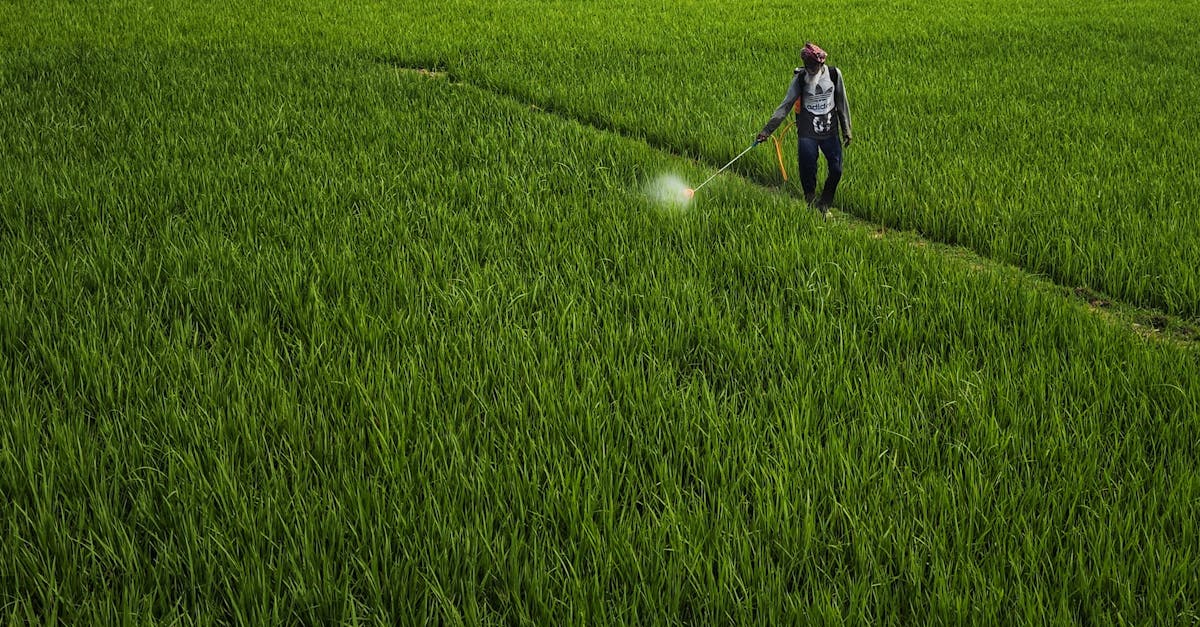 découvrez les dangers du poison par pesticide, ses symptômes, ses causes et les mesures préventives à prendre pour protéger votre santé et votre environnement. informez-vous sur les alternatives biologiques et précautions essentielles.