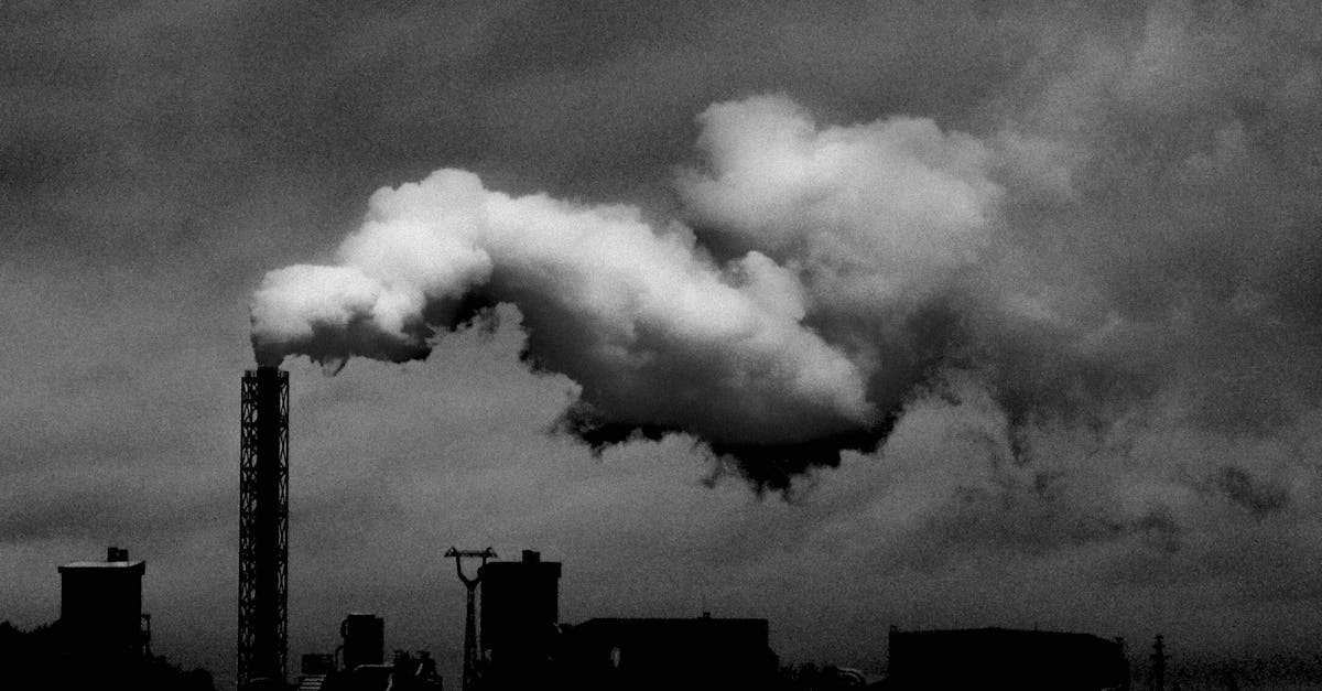 découvrez les enjeux de la pollution due aux pesticides, ses impacts sur l'environnement et la santé humaine, ainsi que les solutions pour réduire cette menace à notre écosystème. informez-vous sur les alternatives durables et les actions à entreprendre pour un avenir sans pesticides.