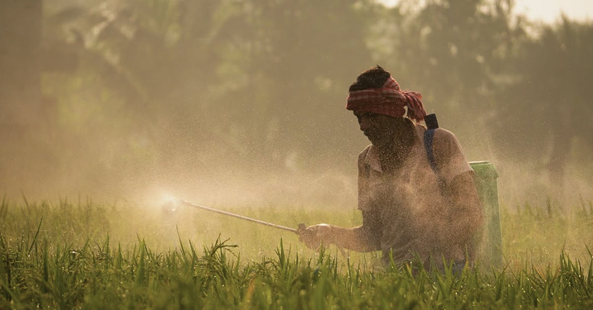 découvrez tout sur les résidus de pesticides : leurs impacts sur la santé, l'environnement et les méthodes de détection. informez-vous sur les réglementations et les alternatives pour une agriculture durable.
