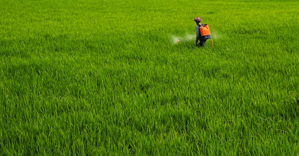 découvrez tout sur les résidus de pesticides, leur impact sur l'environnement et la santé, ainsi que des conseils pour réduire votre exposition. informez-vous sur les réglementations en vigueur et les moyens de consommer des aliments plus sûrs.