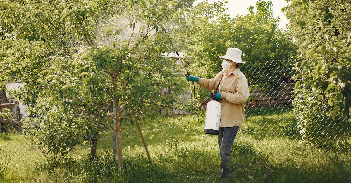 découvrez tout ce qu'il faut savoir sur les pesticides : types, usages, impact sur l'environnement et alternatives écologiques. protégez vos cultures tout en préservant la santé de notre planète.