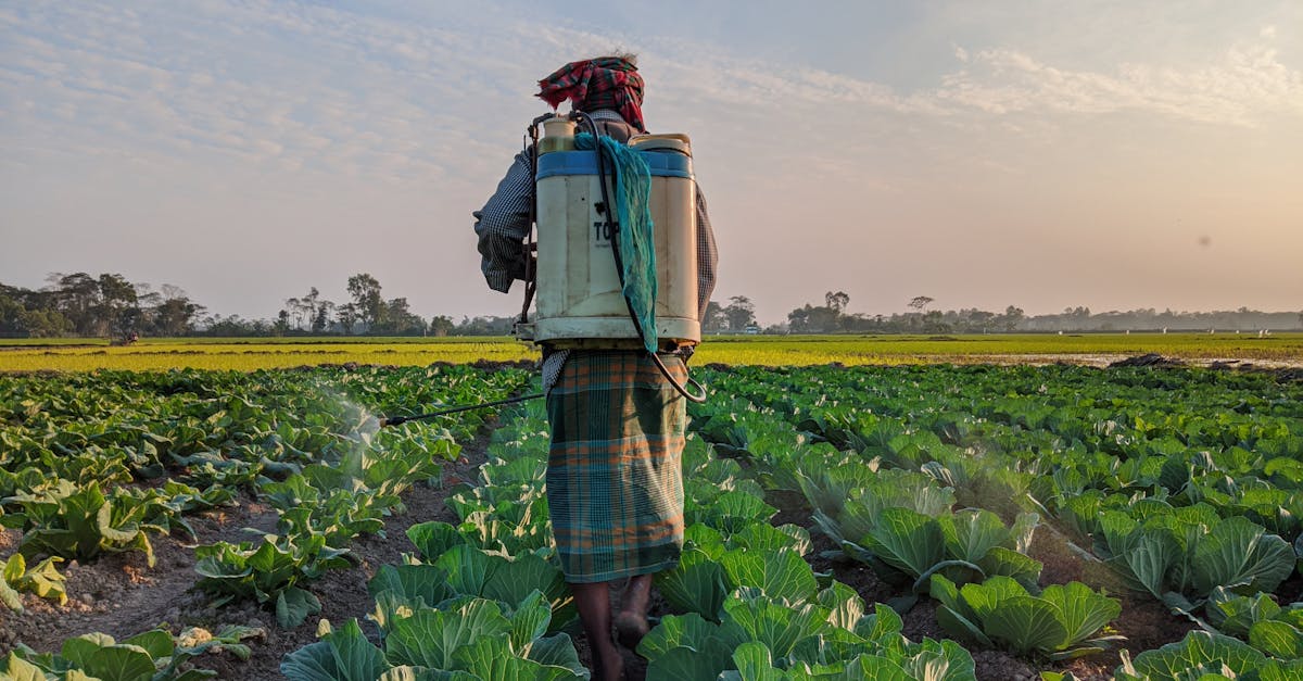 découvrez l'impact des pesticides sur notre environnement et notre santé. apprenez les alternatives durables et les pratiques agricoles respectueuses de la biodiversité pour un avenir plus sain.