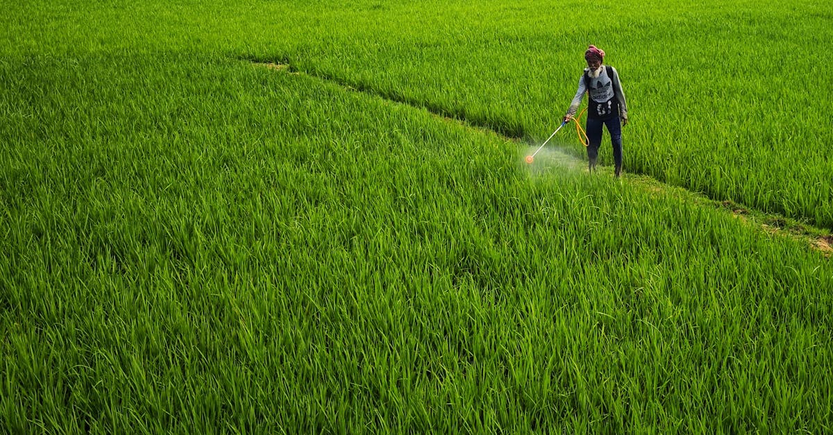 découvrez tout ce que vous devez savoir sur les pesticides : leur utilisation, leur impact sur l'environnement et la santé, ainsi que des alternatives écologiques pour une agriculture durable.