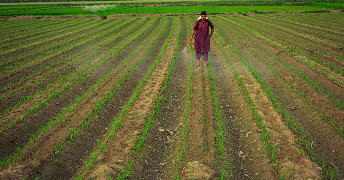découvrez tout sur les pesticides : leurs types, leurs usages, et leur impact sur l'environnement et la santé. informez-vous sur les alternatives durables et les pratiques agricoles respectueuses de l'écosystème.