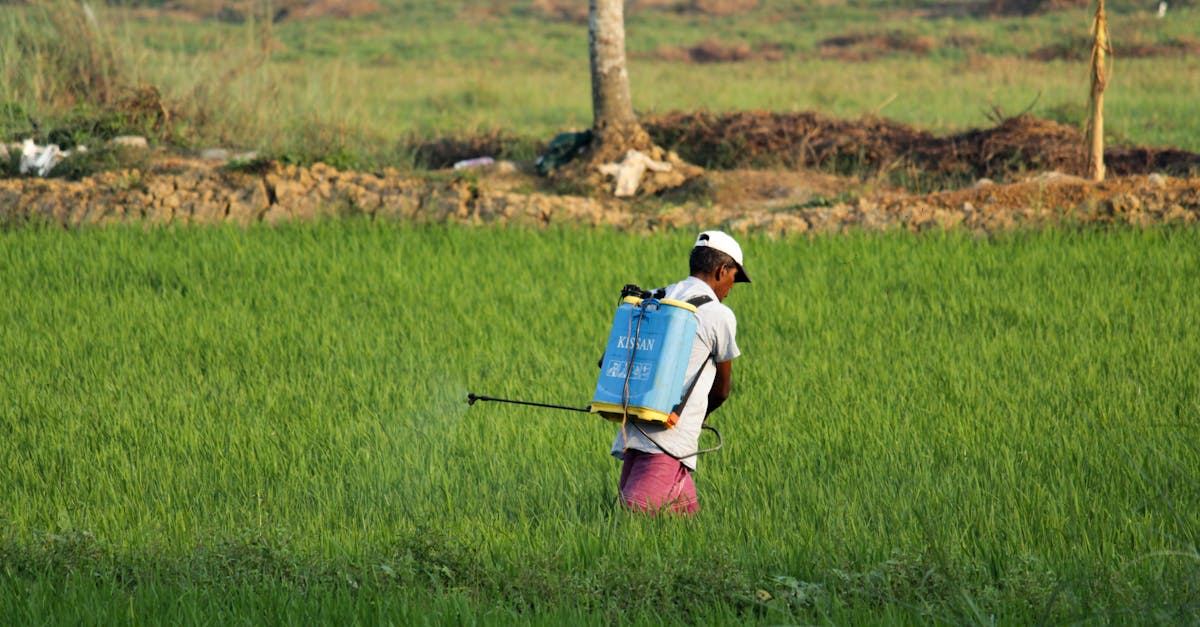 découvrez tout sur les pesticides : leur utilisation, leurs effets sur l'environnement et la santé, ainsi que les alternatives durables pour une agriculture responsable.
