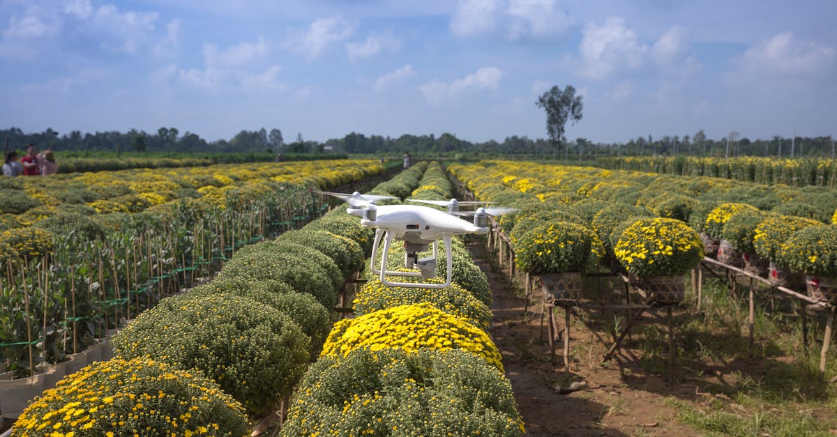 découvrez tout ce qu'il faut savoir sur les pesticides : leurs types, leur utilisation en agriculture, leur impact sur l'environnement et la santé, ainsi que les alternatives durables. informez-vous pour une agriculture responsable et respectueuse de l'écosystème.