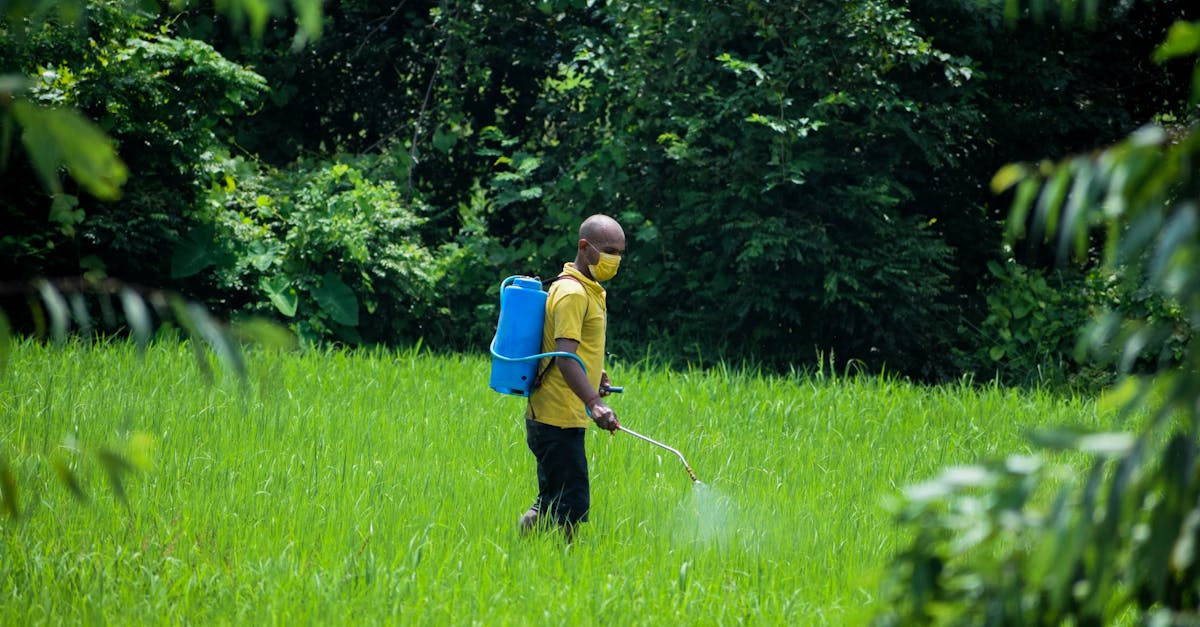 découvrez tout sur les pesticides : leur utilisation, leur impact sur l'agriculture et l'environnement, ainsi que les alternatives pour une agriculture durable. informez-vous sur les enjeux de santé publique liés à ces produits.