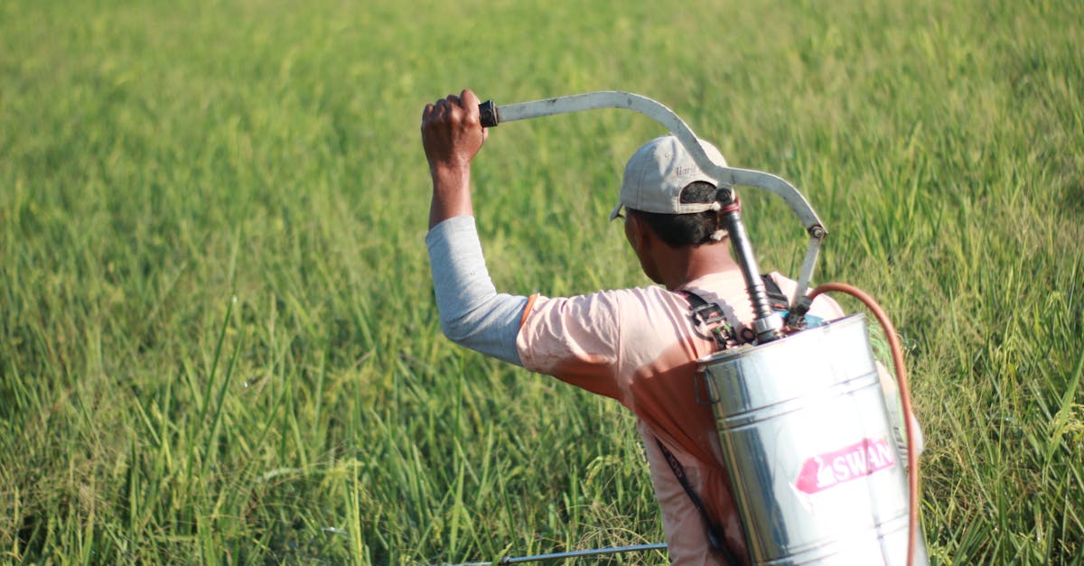 découvrez tout ce qu'il faut savoir sur les pesticides : leur utilisation, les impacts sur l'environnement et la santé, ainsi que les alternatives durables pour protéger les cultures. informez-vous sur les réglementations et les pratiques agricoles responsables.