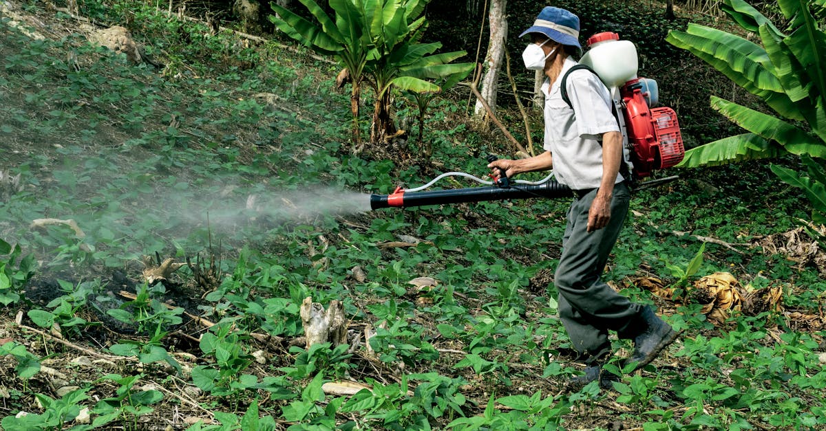 découvrez tout sur les pesticides : leur utilisation, les différents types, les impacts sur l'environnement et la santé, ainsi que des alternatives écologiques pour une agriculture durable.