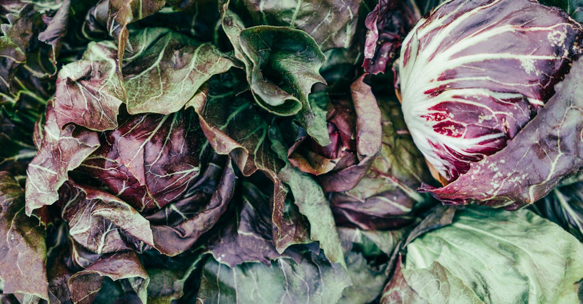 découvrez tout ce qu'il faut savoir sur les pesticides : leur utilisation, leur impact sur l'environnement, et les alternatives écologiques pour une agriculture durable.