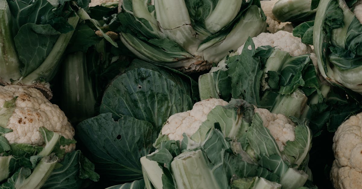découvrez tout ce qu'il faut savoir sur les pesticides : leur utilisation, leurs impacts sur l'environnement et la santé, ainsi que des alternatives écologiques pour une agriculture durable.