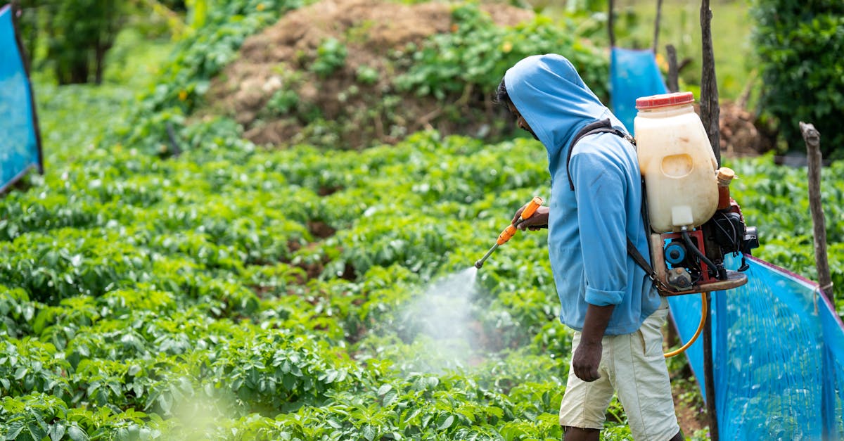 découvrez tout ce que vous devez savoir sur les pesticides : définitions, types, usages, et impacts sur l'environnement et la santé. informez-vous sur les alternatives et les bonnes pratiques pour réduire l'utilisation des produits chimiques en agriculture.
