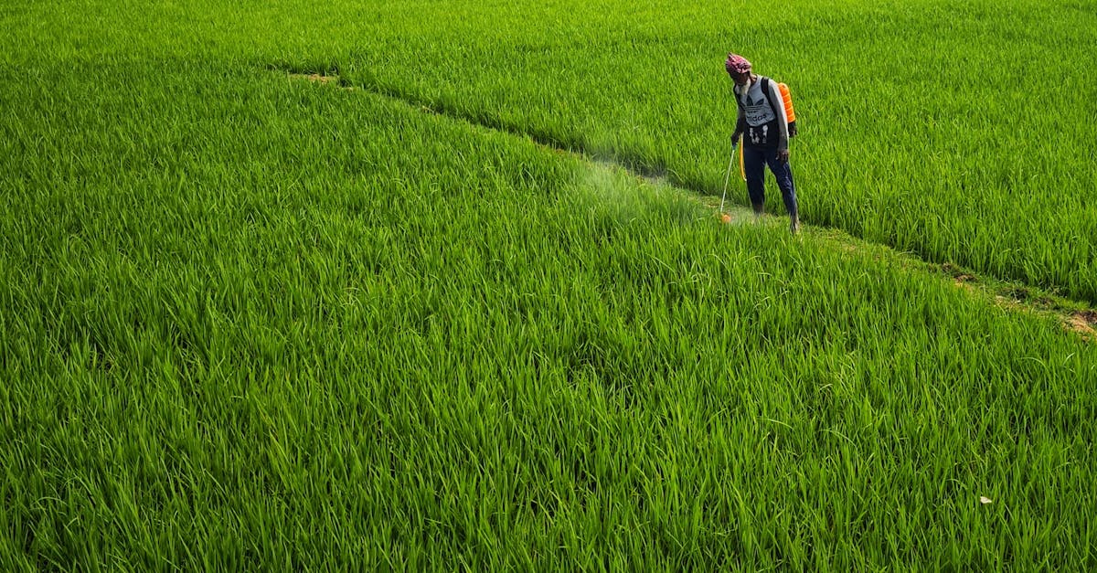 découvrez tout sur les pesticides : leur utilisation, les différents types, les effets sur l'environnement et la santé, ainsi que des alternatives durables pour une agriculture responsable.
