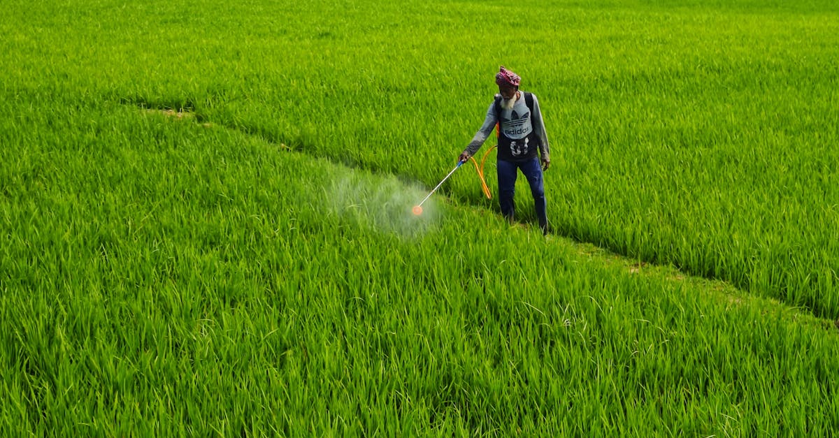 découvrez tout ce qu'il faut savoir sur les pesticides : leurs types, leurs usages, ainsi que leurs impacts sur l'environnement et la santé. apprenez à les utiliser de manière responsable et explorez les alternatives écologiques.